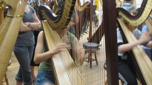 [A girl in a row of harpists, performing]