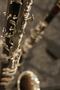 Photograph: [A close look at a bass clarinet, 1]