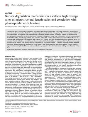 Surface degradation mechanisms in a eutectic high entropy alloy at microstructural length-scales and correlation with phase-specific work function