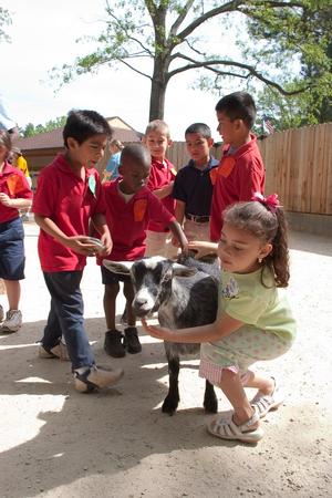 [Kids and a goat]