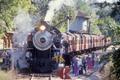 Photograph: [The Texas State Railroad: A Historic Heritage Journey]