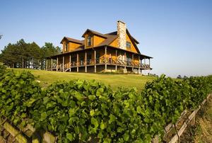 [Enoch's Stomp Winery - A Haven of Nature and Elegance]
