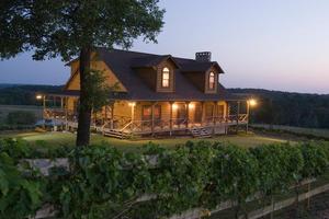 [A Captivating Evening at Enoch's Winery: A Wine Tasting Experience Amidst Enchanting Lights]