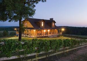 [A Breathtaking Evening at Enoch's Winery: Wine Tasting Amidst Enchanting Lights]
