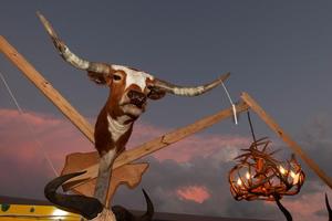 [Texas Heritage Preserved: Texas Longhorn Cattle Head among Antique Treasures at Round Top Antiques Market]
