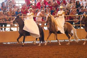 Primary view of object titled '[Dazzling Duo: Texas Ladies Aside Riders at the 2004 National Competition]'.