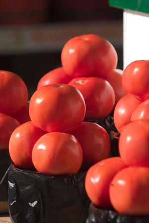 [Tomato Paradise: A Flavorful Feast for the Senses]