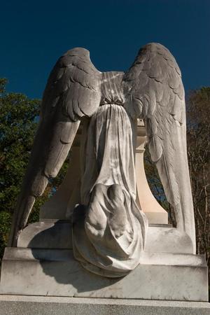 [The Enchanting "Weeping Angel" of Texas: A Heavenly Tribute]