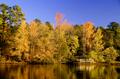Primary view of [Tranquility Amidst Nature: The Enchanting Lake View at Tyler State Park]
