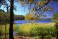 Primary view of [Nature's Haven: Scenic Lake View at Tyler State Park]