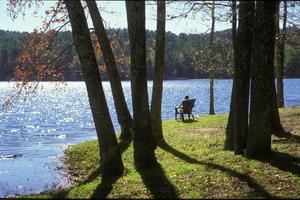 [Enchanting Escapes at Tyler State Park]
