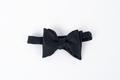 Primary view of Formal bow tie