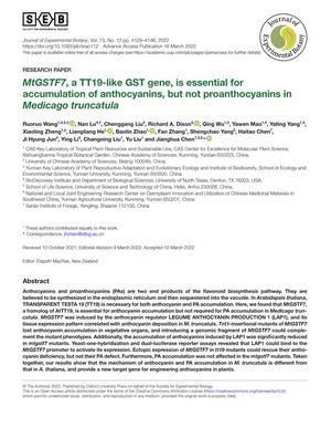 MtGSTF7, a TT19-like GST gene, is essential for accumulation of anthocyanins, but not proanthocyanins in Medicago truncatula