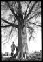 Photograph: [Girl Standing Under a Tree]