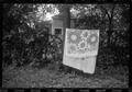 Photograph: [Floral towel hanging on a clothes line outside]