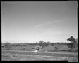 Photograph: [House in the middle of a field]