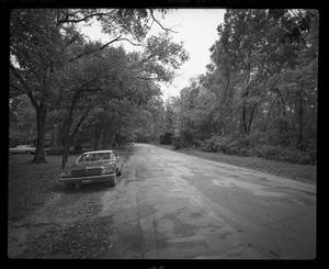 Primary view of object titled '[Car on the side of the road]'.
