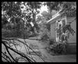 Photograph: [Back porch taken from behind tree branches]