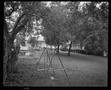 Photograph: [Backyard swingset]