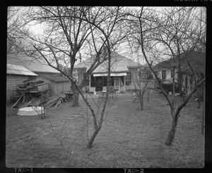 [Yard with Pool and Trees, 1988]