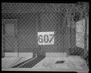 [607 on Fence, 1990]
