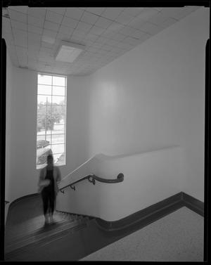 [Henderson Elementary Figure Up Stairs, 1999]