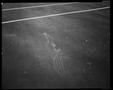 Photograph: [Clown Graffiti Tennis Court, 2005]