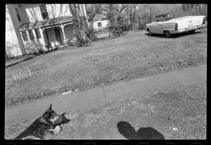 [Bike Shadow, Dog & Old Car, 1977]