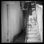 Photograph: [Buena Vista Stairs Again, 1986]
