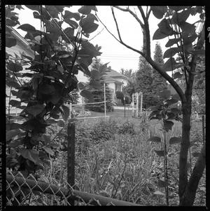 [Yard Chain Link Fence, 1978]