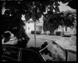 Photograph: [Catalpa Tree and Car, 1985]