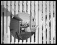 Photograph: [Circle in Fence, 1981]