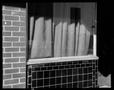 Photograph: [Dixon St Window, 1975]