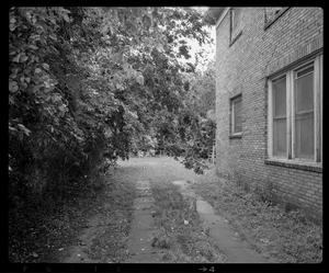 [House Strip Driveway 1985]