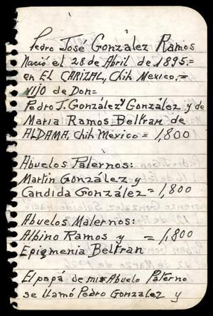 [Pedro J. Gonzalez, handwritten family history information, 3]
