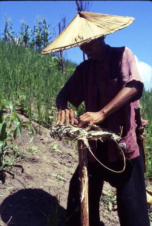 Primary view of object titled 'Akha man preparing for rice harvest ritual'.