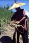 Thumbnail image of item number 1 in: 'Akha man preparing for rice harvest ritual'.