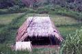 Photograph: Building with thatched roof in Akha village