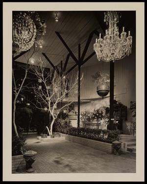 [Chandeliers and plants in a store, 1]