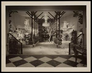 [Chandeliers and plants in a store, 2]