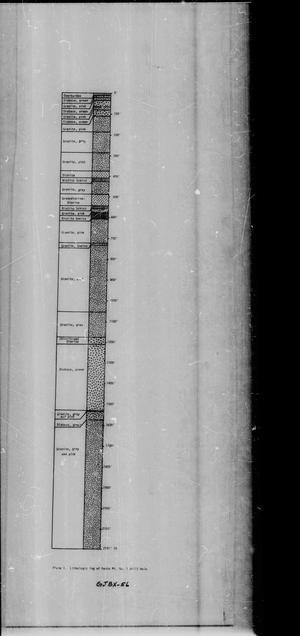 Primary view of object titled '[Pedro Mountain Drilling Project, Carbon County, Wyoming: Plates 1, 2, 9, and 10]'.