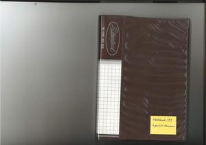 Primary view of object titled 'Akha notebook 133'.