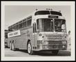 Photograph: [A Continental Trailways bus, 1]