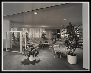 [A lounge with potted plants and pale furniture]
