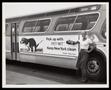Primary view of [A Pet-Mit advertisement on the side of a bus]