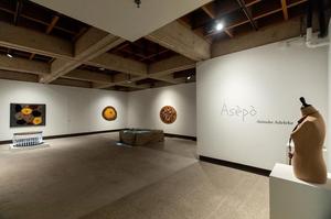 Asepo Installation View