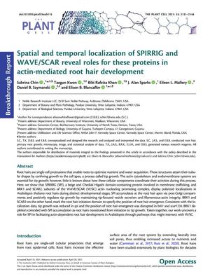 Spatial and temporal localization of SPIRRIG and WAVE/SCAR reveal roles for these proteins in actin-mediated root hair development