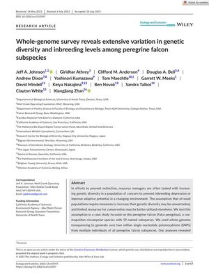 Whole-genome survey reveals extensive variation in genetic diversity and inbreeding levels among peregrine falcon subspecies