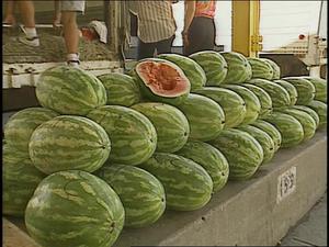 [News Clip: Watermelons]