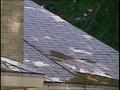 Video: [News Clip: Roofing Scam]